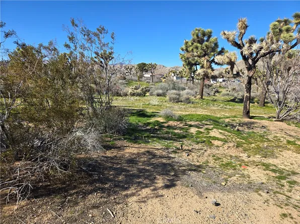 7484 Palm Ave Lot 6, Yucca Valley, CA 92284