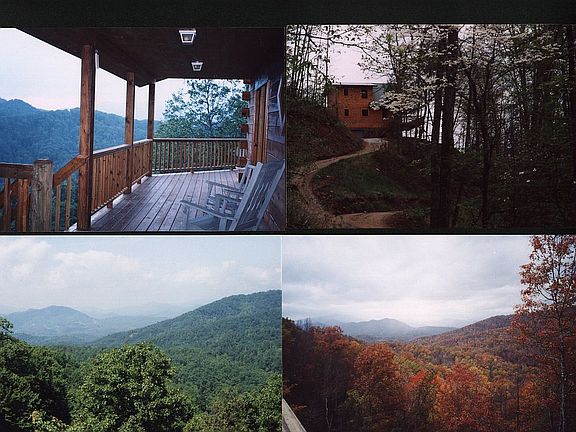 2nd image of 886 Black Forest Dr