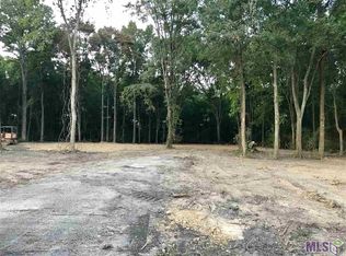 1-B-2 Merritt Evans Rd, Prairieville, LA 70769