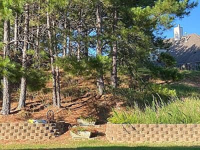 View from back patio