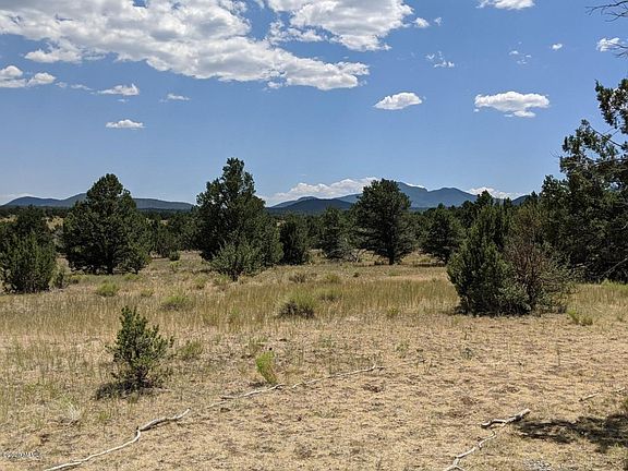 The land with 10 acres for each home