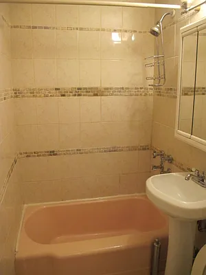 Rented by Manhattan Flats | media 12