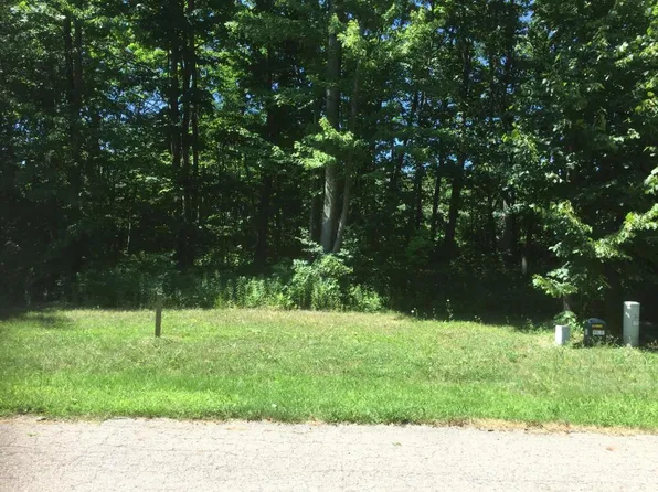 11132 Strawberry Fields Ave, New Buffalo, MI 49117