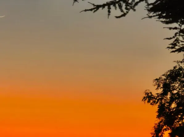 15 Sequoyah View Ct, Oakland, CA 94605