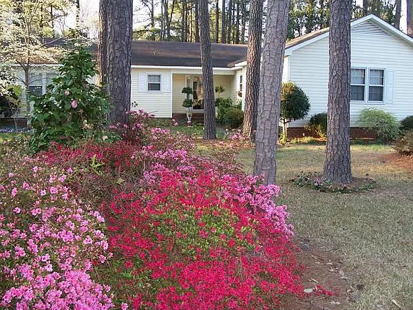 403 Greenwood Dr — Photo 9