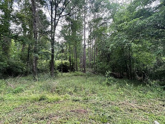 3rd image of 1003 Shady Ln