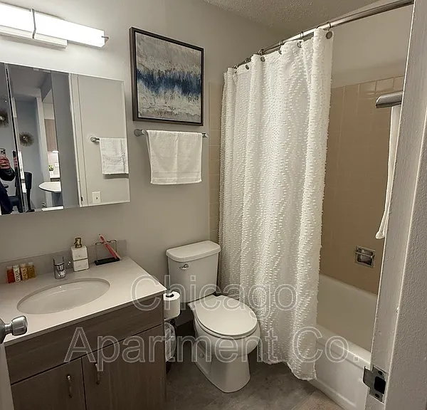 1135 N Dearborn St #402 — Photo 10