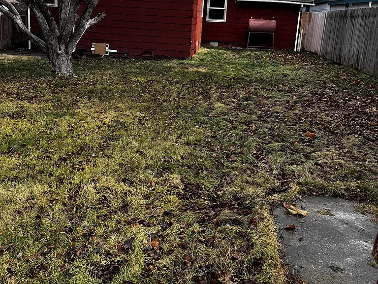 517 S Weed Blvd — Photo 5