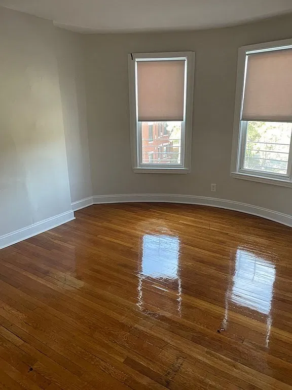 3 bed, 1.0 bath, 1000 sqft, $3,100 — Photo 3