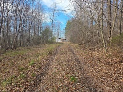 2051 Toms Creek Church Rd, Pilot Mountain, NC, 27041