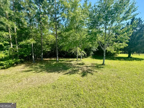 0 Frank Sikes Rd, Claxton, GA 30417