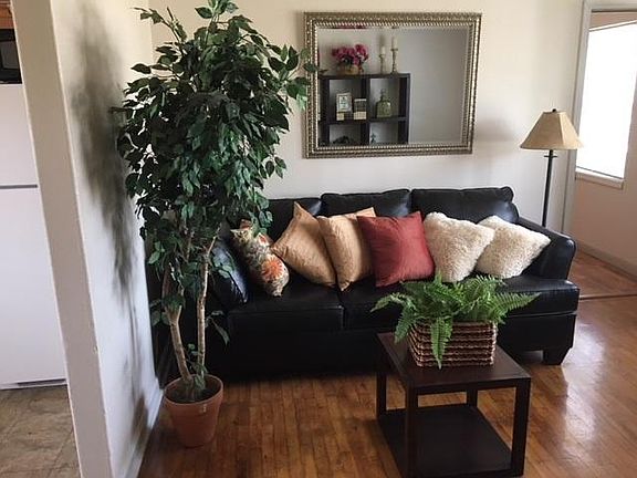 4th image of 2441 Dawson St