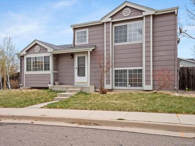 194 N Bedford Avenue, Castle Rock, CO, 80104