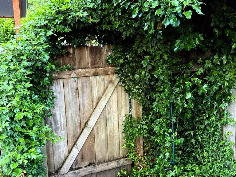 Two gates keep yard safe and private.