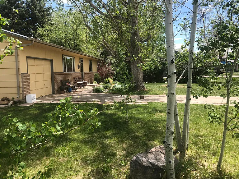 Front yard, driveway