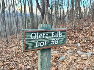 134 Bradley Ascent Ct LOT 58, Hendersonville, NC 28792
