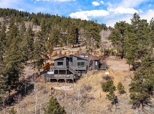 236 Summit Dr, Bailey, CO 80421