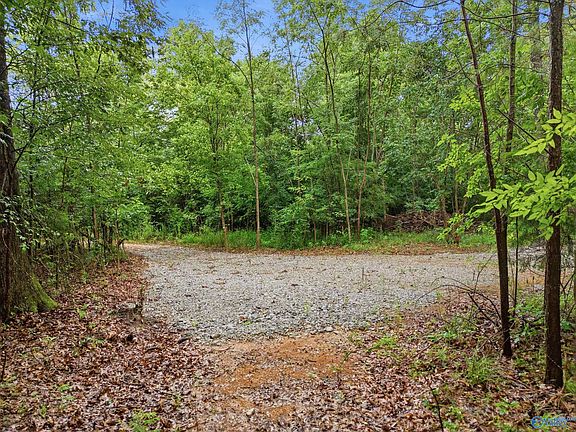 2nd image of 773 McCutcheon Loop Rd