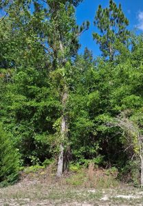 0 105th Dr, O'Brien, FL, 32071