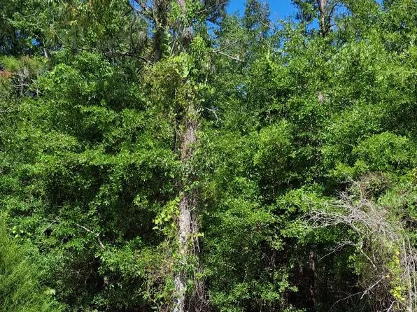 0 105th Dr, O'Brien, FL 32071