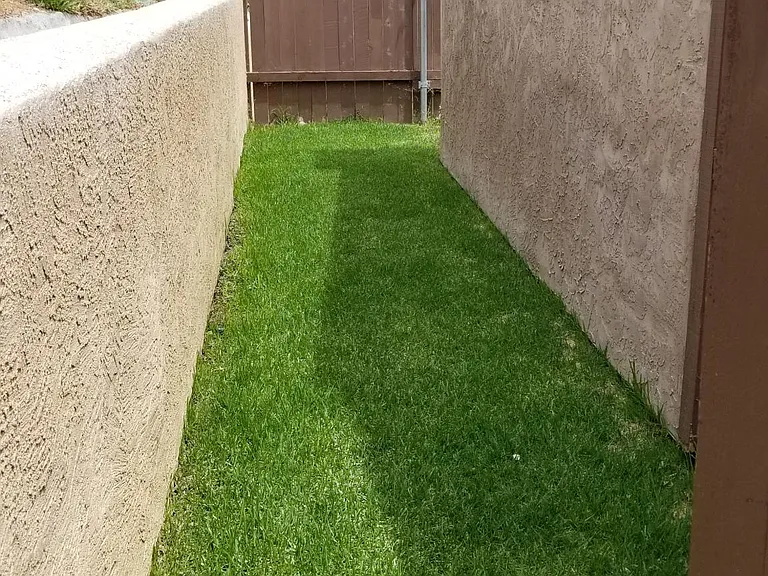 Enclosed yard