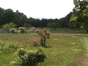 2nd image of 6095 Coudersport Lck