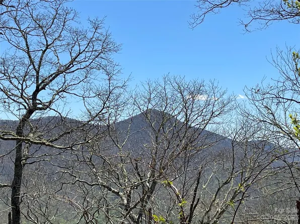 99999 Ogle Meadows Rd, Barnardsville, NC 28709