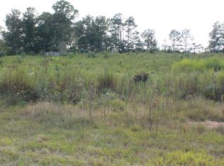 3 Union Hill Church Rd, Falkville, AL 35622