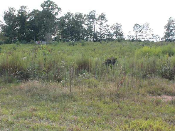 3 Union Hill Church Rd, Falkville, AL 35622