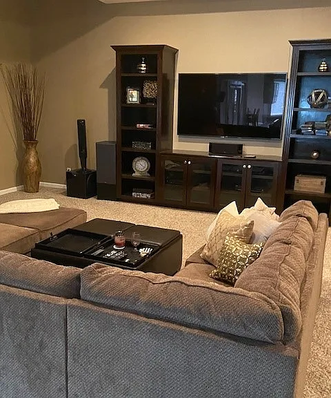 Lower Level Apartment Theatre Area