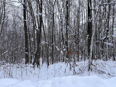 Lot 46 Holly Lake Lane, Stone Lake, WI, 54876