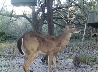 4142 Crewsville Rd, Zolfo springs, FL 33890