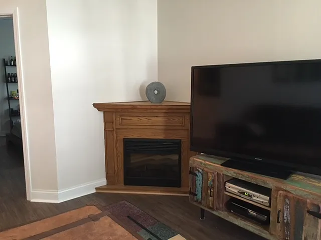 2627 Suncrest Village Cir — Photo 2
