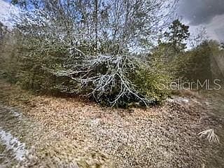1st image of 13274 CALOOSA DRIVE LOT 7