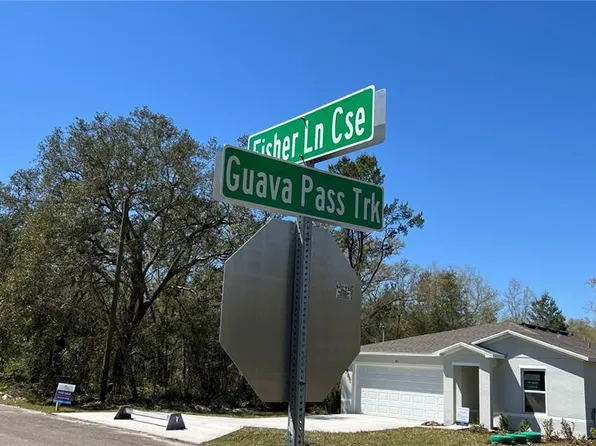 Fisher Lane Crse Lot 44, Ocklawaha, FL 32179