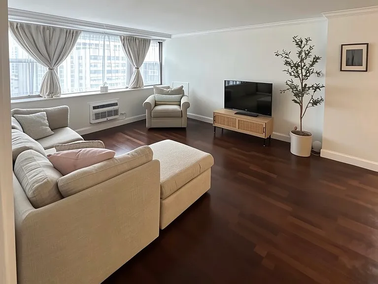 253 E Delaware Pl #21F — Photo 8
