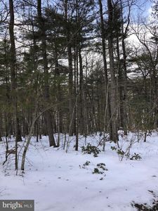 174 Ash Ln, Mount Jackson, VA, 22842