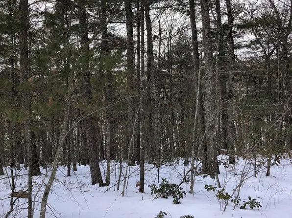 174 Ash Ln, Mount Jackson, VA 22842