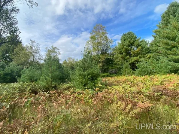 M94 Hwy, Manistique, MI 49854