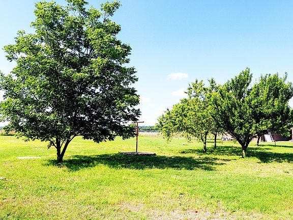 Back yard with fruit trees.