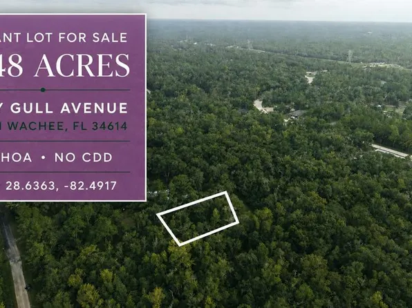 14186 ROSY GULL AVENUE LOT 2, WEEKI WACHEE, FL 34614