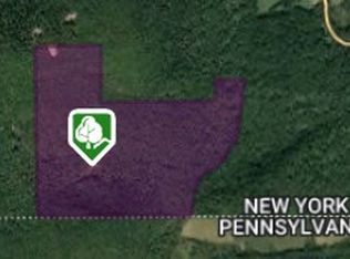 253 Fenescey Rd, Windsor, NY 13865