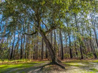 1841 Shell Ring Cir, Mount Pleasant, SC 29466