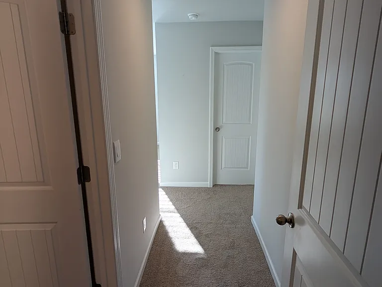 163 Dale Mires Ln — Photo 33