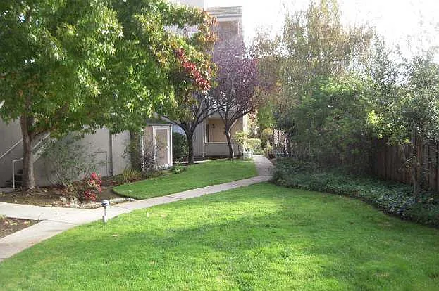 Lawn area