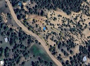 228 Wilson Dr, Florissant, CO 80816