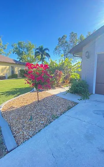 2310 Kenya Ln — Photo 3