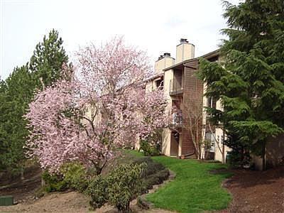 Kingsgate Ridge in Spring