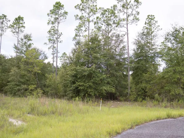 0 213th Rd, Live Oak, FL 32060