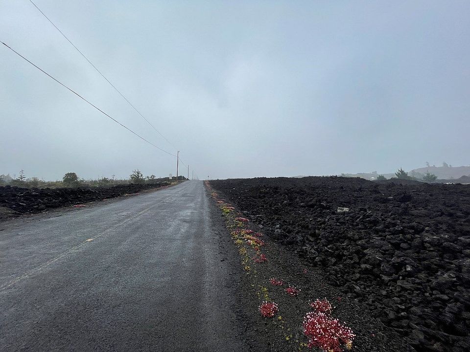 2nd image of Marlin Blvd Lot 9